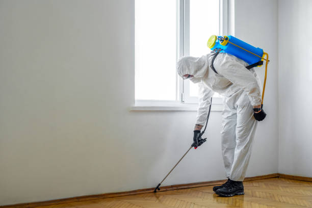 Best Affordable Pest Control Services  in Inverness, CO