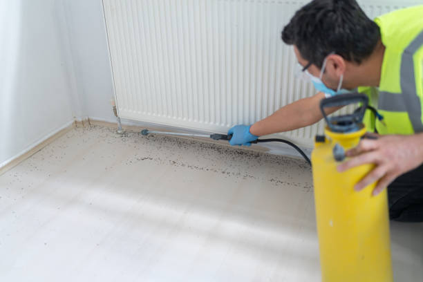 Best Residential Pest Control  in Inverness, CO